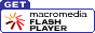 download FLASH player